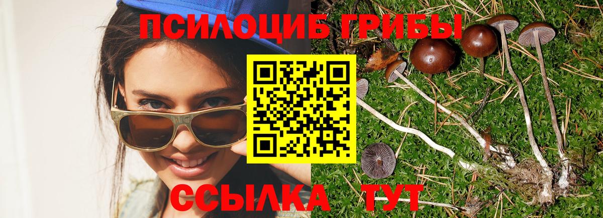 Псилоцибиновые грибы MAGIC MUSHROOMS Сальск