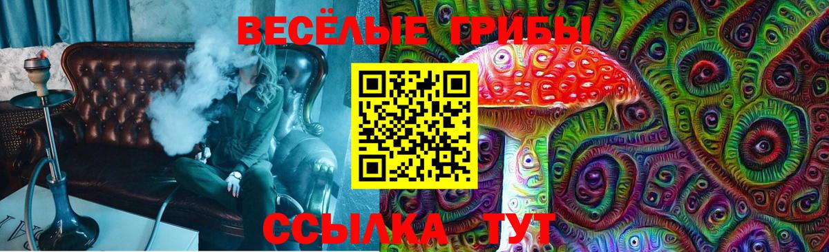 Сальск  Псилоцибиновые грибы MAGIC MUSHROOMS  Вход с VPN  Галлюциногенные грибы мухоморы 